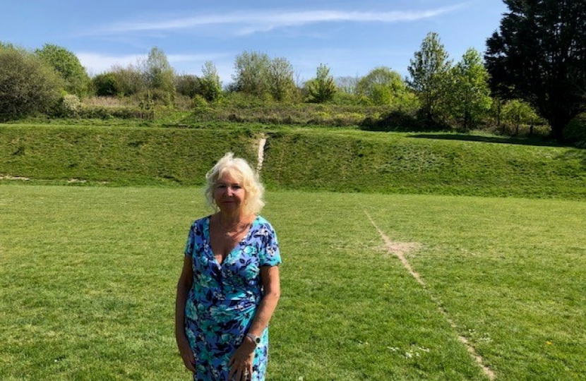 Patcham ward Councillor Carol Theobald