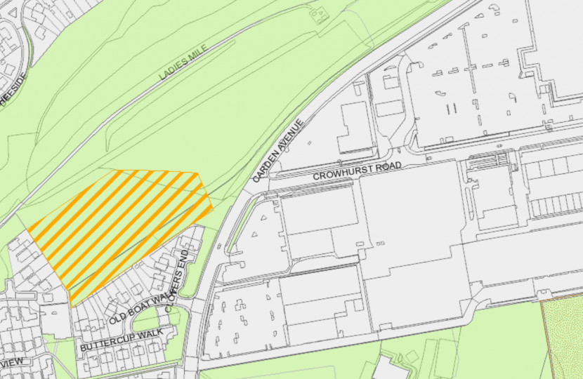 Land at Ladies Mile, Carden Avenue