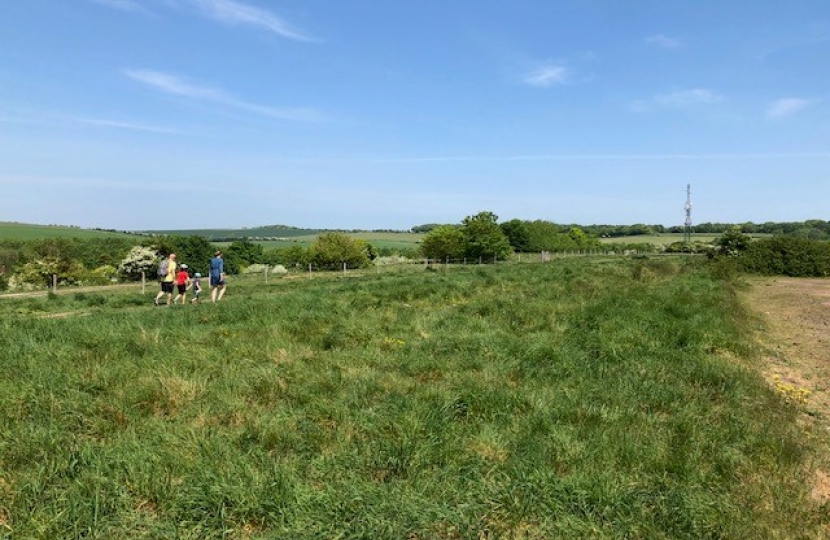 Land at Ladies Mile, Patcham