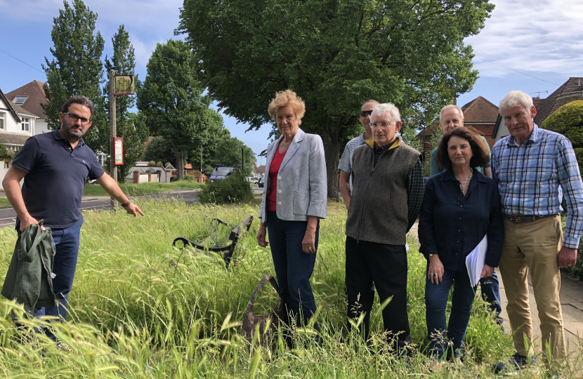 Overgrown verges in Hove Park